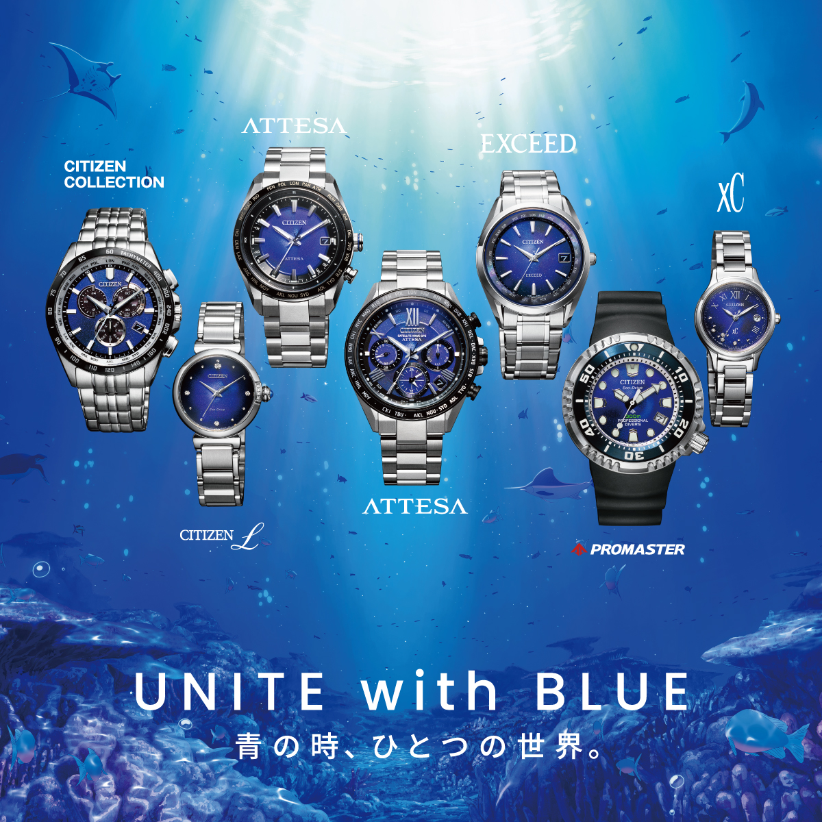 CITIZEN COLLECTION CB5874-81L 4974375529274