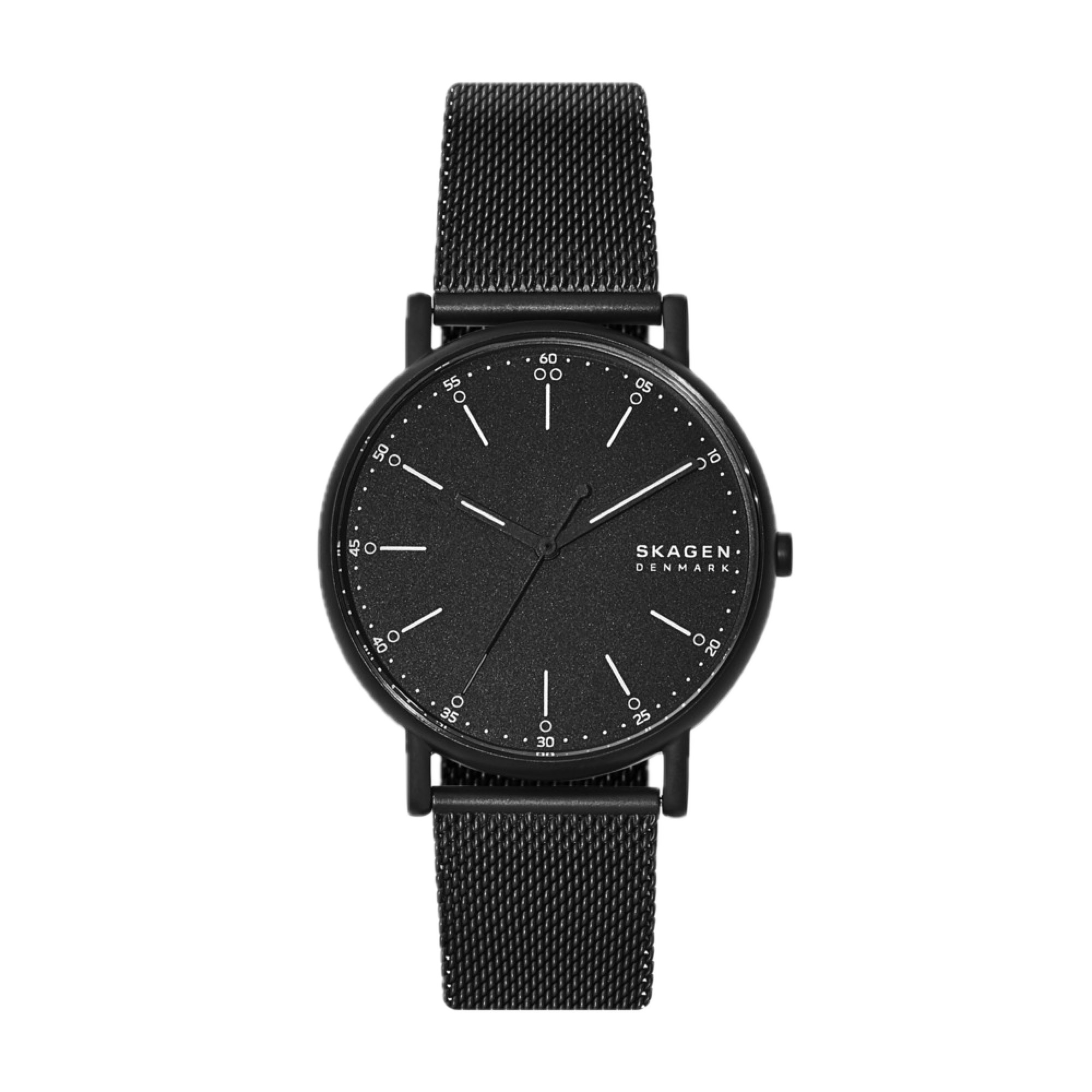 SKAGEN SKW6579