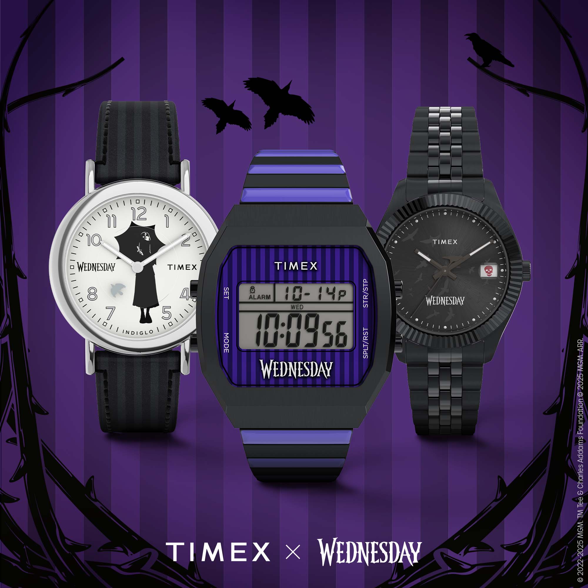 TIMEX TW2Y19600 0194366431285