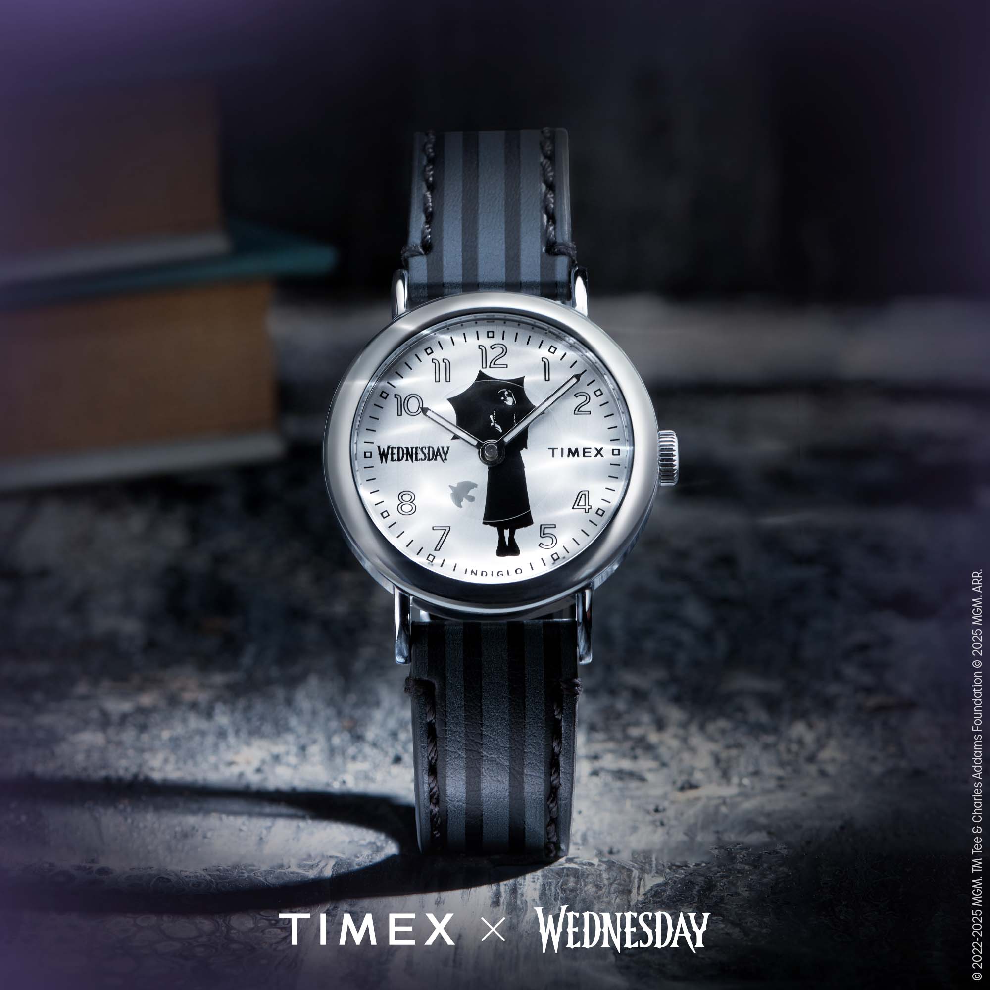 TIMEX TW2Y19400 0194366431261