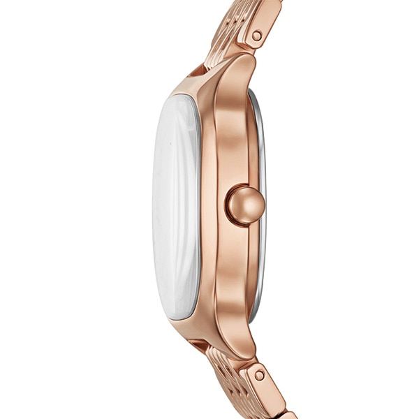 SKAGEN SKW3166 4570006772790