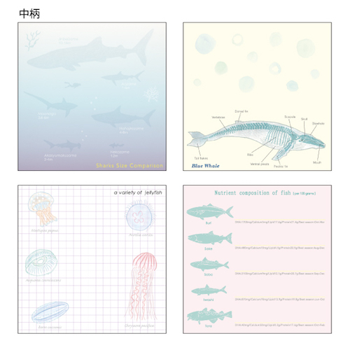 ST-060 メモパッド・スクエア(海洋生物学)