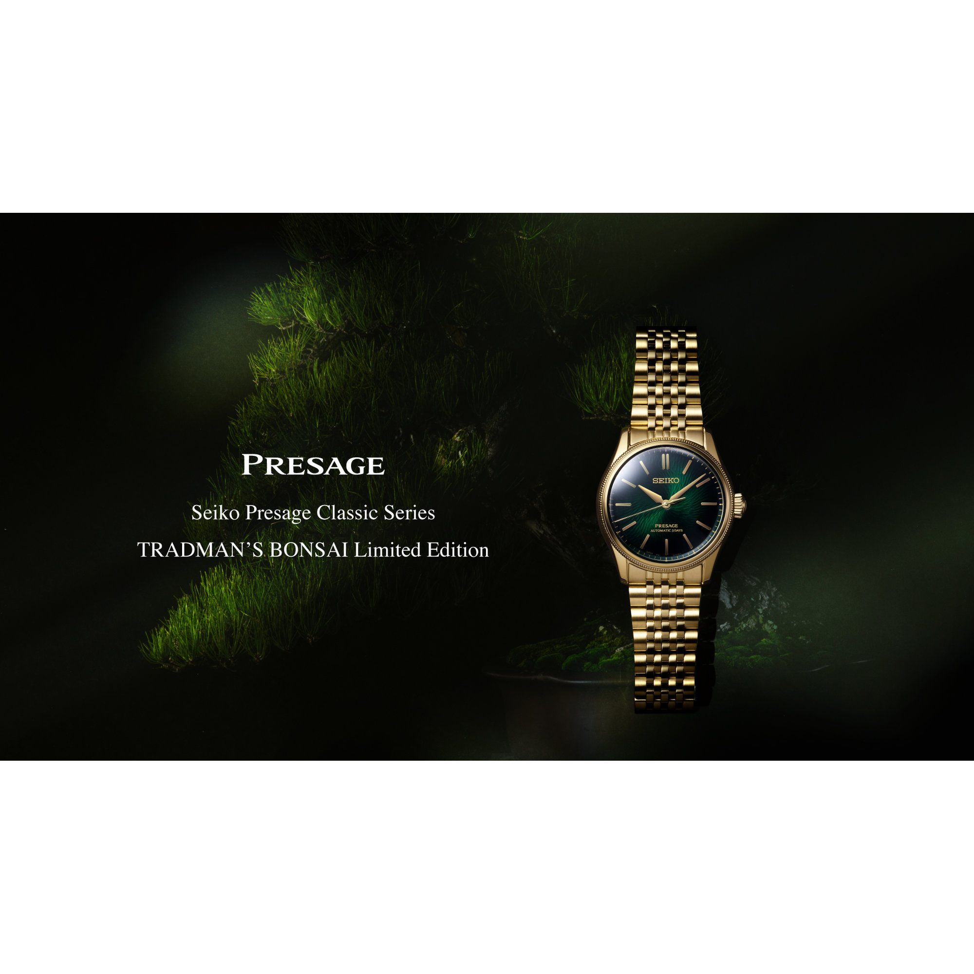 PRESAGE HCC011J 4954628474131