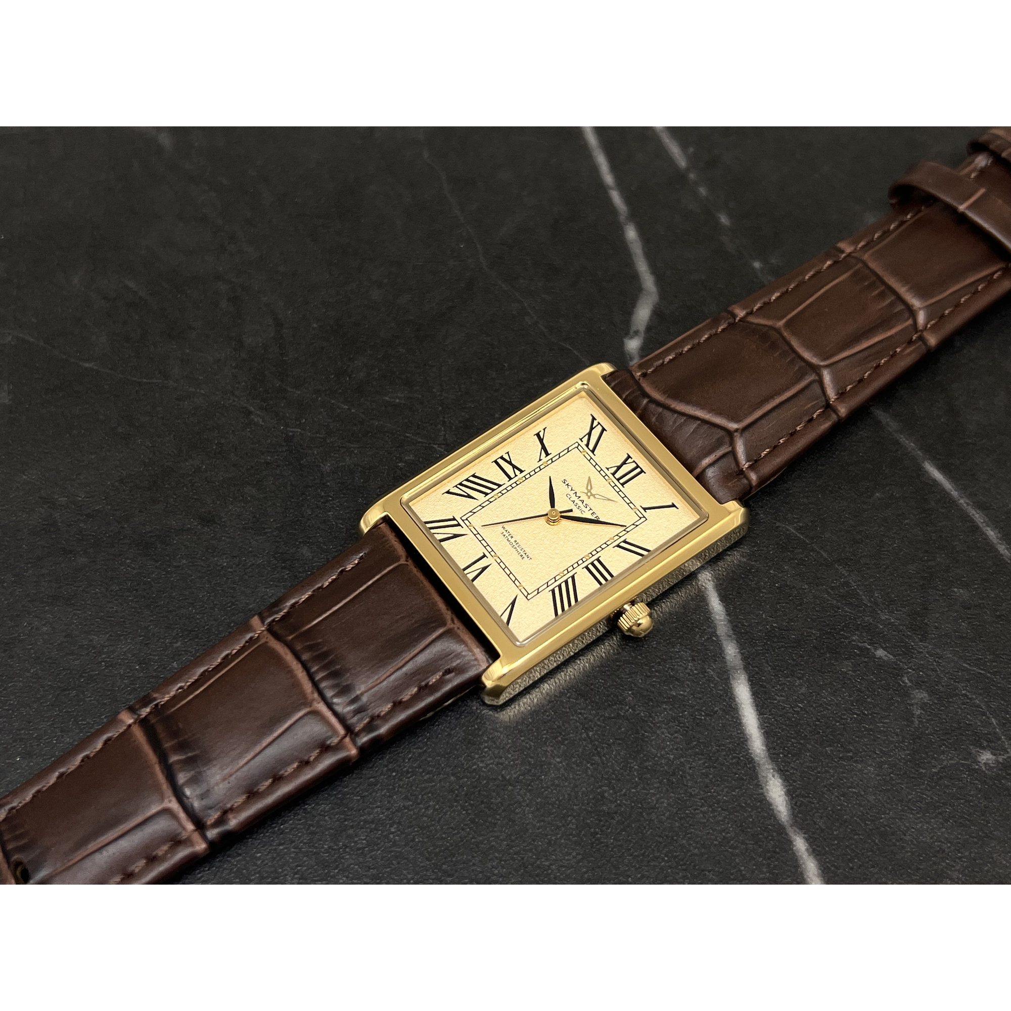 SKYMASTER S003GC 4580397962021