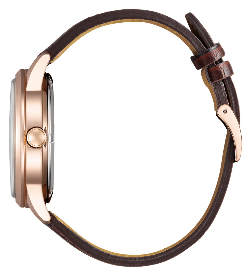CITIZEN COLLECTION NJ0252-05A 4974375533516