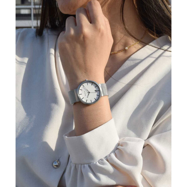 BERING　モデル