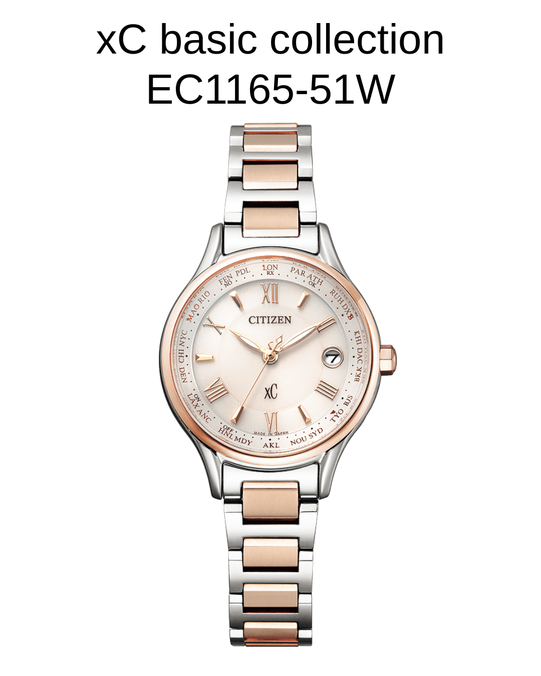 クロスシー EC1165-51W