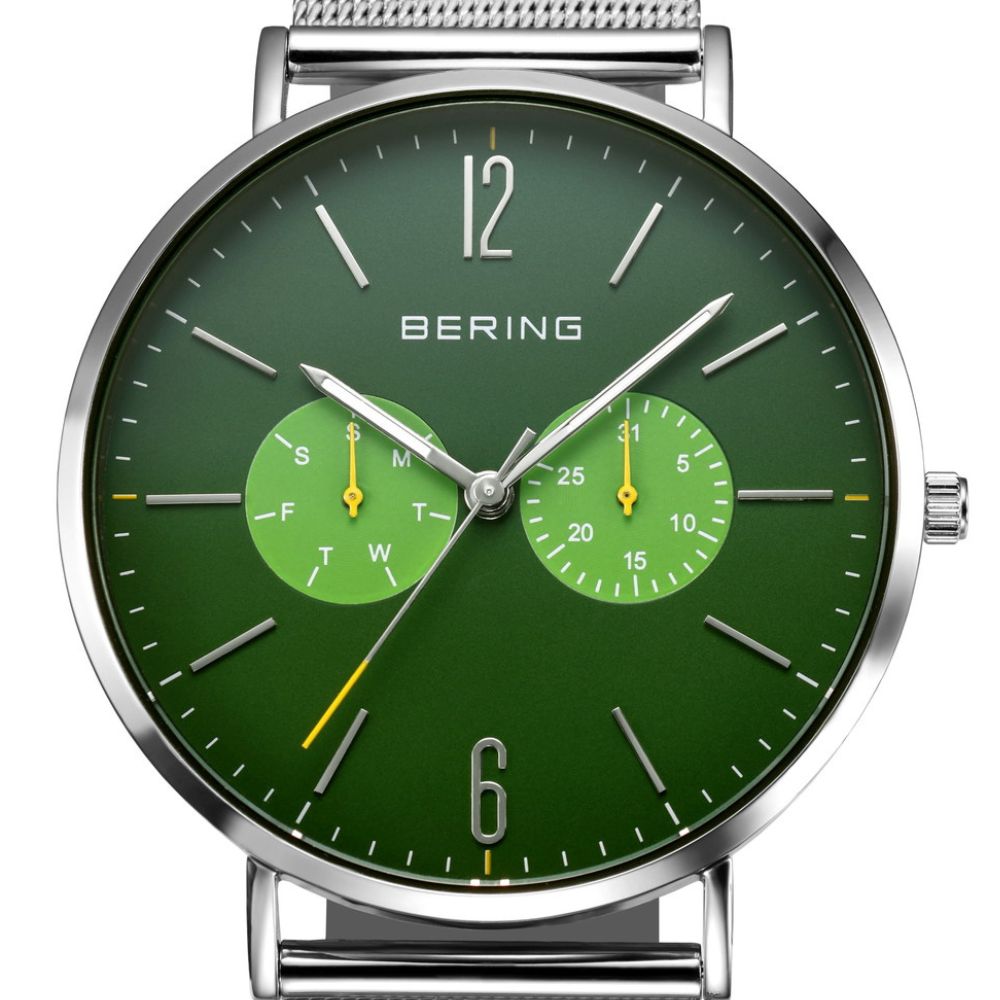 BERING Forest