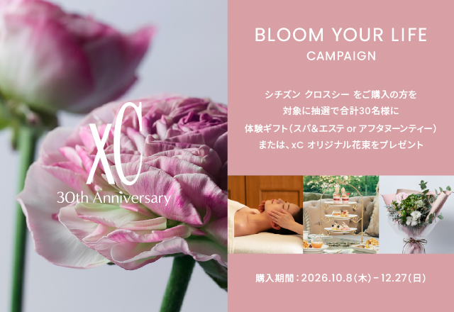 キャンペーンのご案内